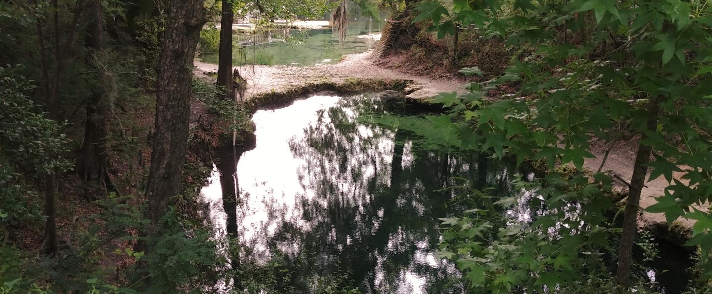 Overlooking Lafayette Blue Springs